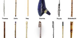tipos de flautas