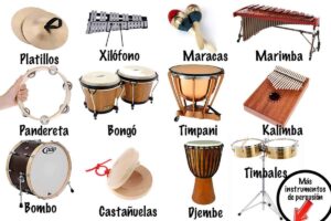 instrumentos de percusión nombres